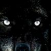 user15lutjl7lw