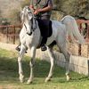 HAMZA