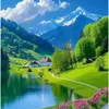 sami.ali3262