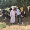 moradessaghiri7