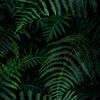 backward_noise07