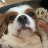 doris_holstein