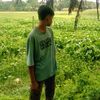 papion195