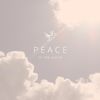 peace.in.worls