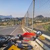 oscarvicente919