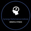 Synergy Performance Institute