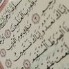 user9827198069537