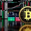 cryptobrossy