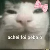 pedro_xp25