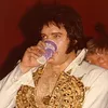 elvisfanboy