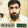 goharkhan6349