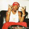 758leone