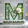 mohammedamin.24