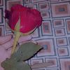 miss________raaliyo
