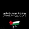 dinamohamed9016