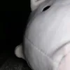 dgskxyvw
