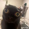 titus_747