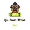 luu_scene_media