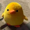 cil ᭺