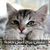 user4565324428158