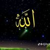 user4714493003586