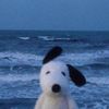 adya_0411