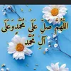 gullxanm319