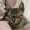 e.n_kim