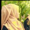 sajjadaalm677