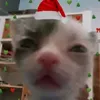usermrqiznwb45