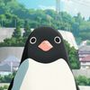 penguinator9084