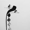 manal_a24