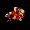 714aquatics
