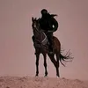 usery9z9dwfo73