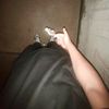 anser_six
