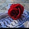 palestine19993