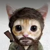 catmama631