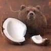 coconutbububear