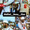 ndiolmi069