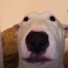 1yuuuppp2
