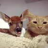 katbeaaa