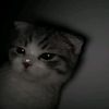 realfair_1