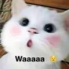 user23duchoang