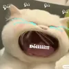 bvbt7