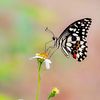 anamary0526