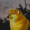 sadcheems08