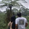 nanda.281