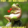 rafaelo972