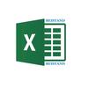 Excel with Beistand