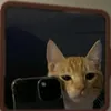 myyb_0